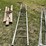 #3229-•-14'-metal-ladder-and-cable-image-6