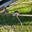 kewanee-500-image-11