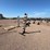 dueling-tree-shooting-target-image-4