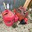 #3342-•-(4)-poly-gas-cans-image-3