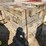 10in-x-10in-dunnage-image-3
