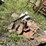 #3241-•-(7)-various-boat-anchors-image-5