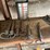 #2285-•-all-contents-on-shelf-image-2