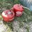 #3346-•-(2)-metal-gas-cans-image-3