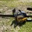 #3318-•-poulin-pro-classic-chain-saw-image-20