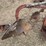 john-deere-pull-type-three-bottom-plow-image-11