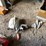 #3351-•-johnson-3hp-seahorse-outboard-motor-image-4