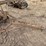 john-deere-two-bottom-plow-image-8