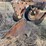 john-deere-pull-type-three-bottom-plow-image-15