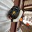 #2284-•-poulan-pro-limb-saw-trimmer-image-3