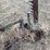 john-deere-sickle-bar-mower-image-15