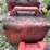 #3343-•-(3)-poly-gas-cans-image-10