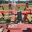 #1032-•-(9)-shank-subsoiler-image-14