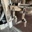 #2322-•-wall-section-of-vintage-farm-tools-image-12