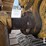 2018-caterpillar-d6t-lgp-image-40