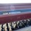 case-ih-5100-image-10