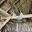 #2341-•-all-contents-in-rafters-image-8