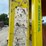 #1157-•-(2)-fiberglass-step-ladders-image-4