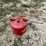 #3344-•-eagle-metal-gas-can-image-4