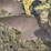 john-deere-pull-type-three-bottom-plow-image-21