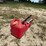 #3341-•-(3)-poly-gas-cans-image-3
