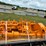 #9983-•-mini-excavator-attachment-set-image-1