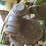 2016-john-deere-z930m-image-15