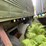 fruehauf-semi-image-30