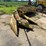 #1941-•-new-holland-(2)-row-corn-head-image-3