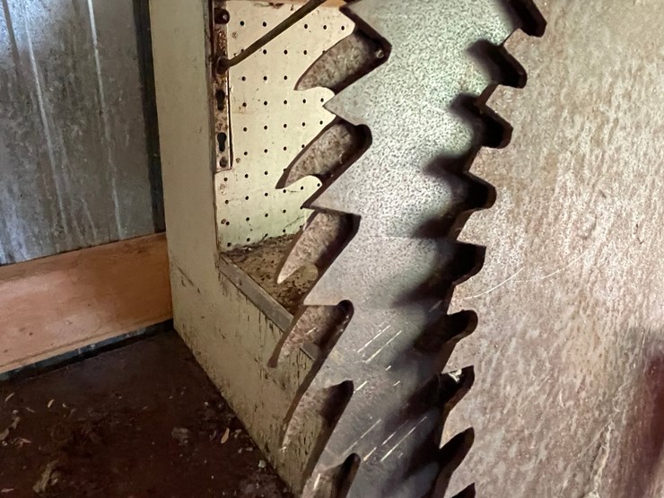 #3359-•-(3)-buzz-saw-blades-image-5