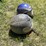 #3234-•-(2)-helmets-image-4
