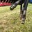 dmi-ecolo-tiger-527b-image-19