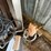 #3350-•-corner-of-scrap-metal-image-8