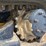 2021-jcb-3ts-8t-image-27