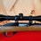 marlin-glenfield-model-75-.22-lr-semiauto-rifle-image-10