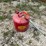 #3344-•-eagle-metal-gas-can-image-3