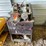 #3329-•-stoux-valve-face-grinding-machine-and-rolling-metal-tool-box-image-1