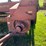new-holland-315-image-24