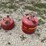 #3345-•-(2)-metal-gas-cans-image-6