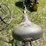 #3300-•-(2)-vintage-his-and-hers-bikes-image-23
