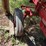 #1923-•-mccormick-farmall-a-tractor-image-14