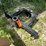 #3336-•-3-point-universal-plate-image-5