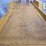 2019-felling-ft-10p-image-10