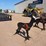 ar500-steel-deer-shooting-target-with-heart-flapper-image-3