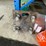 #4052-•-metal-cart,-sheet-metal,-buckets,-and-sunflower-heater-image-2