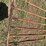 sioux-steel-gates-image-9