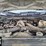 2021-ford-f550-image-30