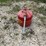 #3344-•-eagle-metal-gas-can-image-2