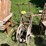 #3243-•-vintage-wood-hose-reel-with-plastic-hose-reel-image-2