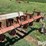 lilliston-rolling-cultivator-image-10